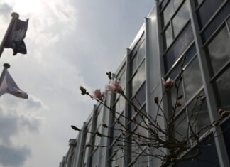 令和6年度 授業参観のお知らせ