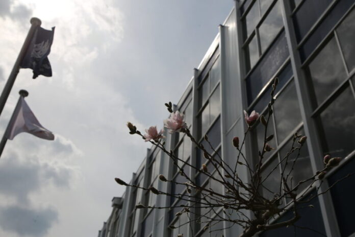 令和6年度 授業参観のお知らせ