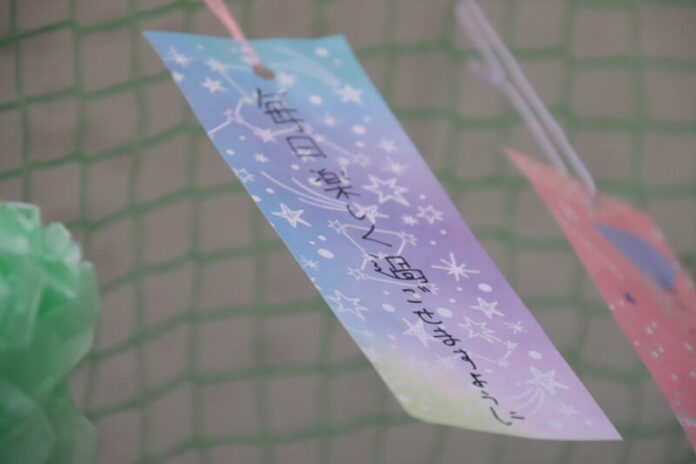 七夕短冊飾りつけ
