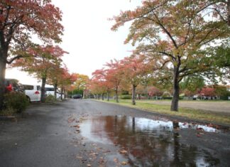 学校新聞「陵雲」10月号