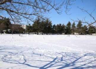 学校新聞「陵雲」1月号